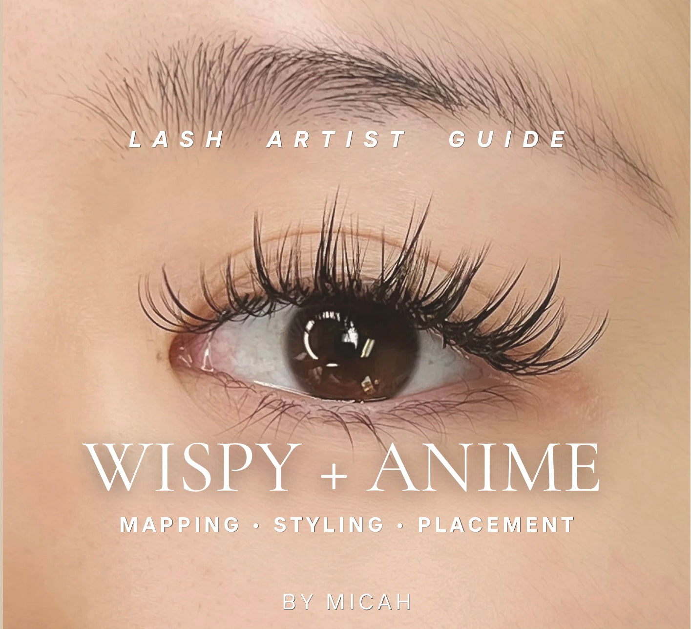 The Signature Wispy + Anime Lash Guide